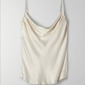 Aritzia tank, Allusion